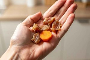 Une main féminine présente plusieurs friandises naturelles pour chien : morceaux de poulet séché et rondelle de carotte. Idéal pour illustrer le choix d'une récompense saine et lisible pour son animal