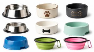 Comparatif des gamelles pour chien : inox, céramique, plastique et silicone. Quelle matière choisir pour votre compagnon ?
