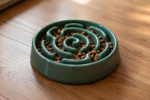 Une gamelle anti-glouton remplie de croquettes sur un sol en bois. Découvrez pourquoi ce modèle est idéal pour les chiens qui mangent trop vite.