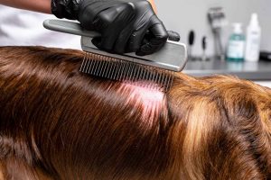 Conseils d'entretien pour le pelage de votre chien afin de prévenir les irritations et les nœuds en été