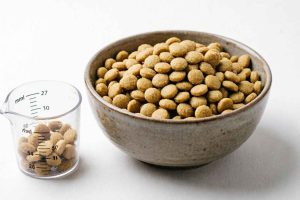 Comment éviter la prise de poids après la stérilisation de son chien ? Nos astuces nutritionnelles pour garder votre compagnon en forme